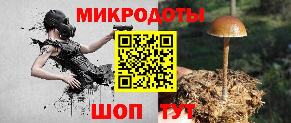 Реж  Галлюциногенные грибы Magic Shrooms  Вход с VPN 